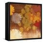 Surprise I-Andrew Michaels-Framed Stretched Canvas