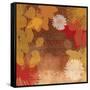 Surprise II-Andrew Michaels-Framed Stretched Canvas