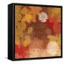 Surprise II-Andrew Michaels-Framed Stretched Canvas