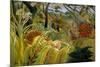 Surprise-Henri Rousseau-Mounted Premium Giclee Print