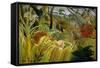 Surprise-Henri Rousseau-Framed Stretched Canvas