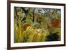 Surprise-Henri Rousseau-Framed Art Print