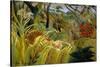 Surprise-Henri Rousseau-Stretched Canvas