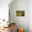 Surprise-Henri Rousseau-Stretched Canvas displayed on a wall