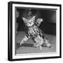 Surprised kitten 1958-Staff-Framed Photographic Print