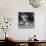 Surprised kitten 1958-Staff-Photographic Print displayed on a wall