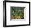Surprised Storm in the Forest-Henri Rousseau-Framed Art Print