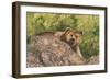 Surprised-Graeme Stevenson-Framed Giclee Print