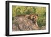 Surprised-Graeme Stevenson-Framed Giclee Print