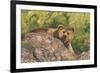 Surprised-Graeme Stevenson-Framed Giclee Print