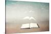 surreal book concept pages flying out of book-Francesco Chiesa-Stretched Canvas