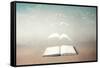 surreal book concept pages flying out of book-Francesco Chiesa-Framed Stretched Canvas