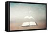 surreal book concept pages flying out of book-Francesco Chiesa-Framed Stretched Canvas