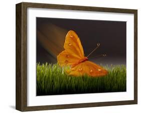 Surreal Butterfly-William Scott-Framed Art Print