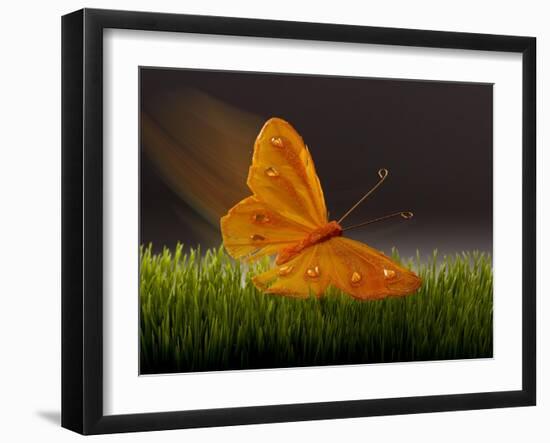 Surreal Butterfly-William Scott-Framed Art Print