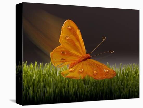 Surreal Butterfly-William Scott-Stretched Canvas