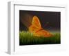 Surreal Butterfly-William Scott-Framed Art Print