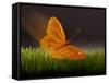 Surreal Butterfly-William Scott-Framed Stretched Canvas