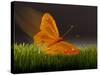 Surreal Butterfly-William Scott-Stretched Canvas