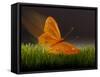 Surreal Butterfly-William Scott-Framed Stretched Canvas