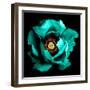 Surreal Dark Chrome Cyan Peony Flower Macro Isolated on Black-BoxerX-Framed Photographic Print