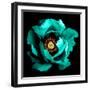 Surreal Dark Chrome Cyan Peony Flower Macro Isolated on Black-BoxerX-Framed Photographic Print