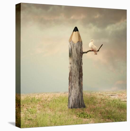 Surreal Illustration Imagine Representing a Pencil like a Tree with a Dove under a Branch with a Be-Valentina Photos-Stretched Canvas