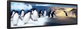 Surreal Penguin Landscape-null-Framed Poster
