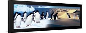 Surreal Penguin Landscape-null-Framed Poster