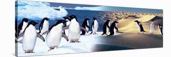 Surreal Penguin Landscape-null-Stretched Canvas
