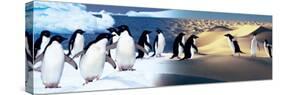 Surreal Penguin Landscape-null-Stretched Canvas