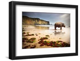 Surreal Scene of a Big Rhinoceros in an Empty Beach-Carlos Caetano-Framed Photographic Print