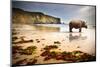 Surreal Scene of a Big Rhinoceros in an Empty Beach-Carlos Caetano-Mounted Photographic Print