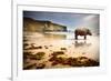 Surreal Scene of a Big Rhinoceros in an Empty Beach-Carlos Caetano-Framed Photographic Print