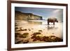 Surreal Scene of a Big Rhinoceros in an Empty Beach-Carlos Caetano-Framed Photographic Print