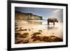 Surreal Scene of a Big Rhinoceros in an Empty Beach-Carlos Caetano-Framed Photographic Print