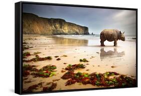 Surreal Scene of a Big Rhinoceros in an Empty Beach-Carlos Caetano-Framed Stretched Canvas