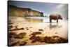 Surreal Scene of a Big Rhinoceros in an Empty Beach-Carlos Caetano-Stretched Canvas