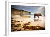 Surreal Scene of a Big Rhinoceros in an Empty Beach-Carlos Caetano-Framed Photographic Print