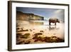 Surreal Scene of a Big Rhinoceros in an Empty Beach-Carlos Caetano-Framed Photographic Print