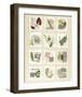 Surrey Garden Fragments-Hewitt-Framed Giclee Print