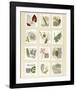 Surrey Garden Fragments-Hewitt-Framed Giclee Print