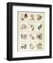 Surrey Garden Fragments-Annabel Hewitt-Framed Art Print