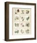 Surrey Garden Fragments-Annabel Hewitt-Framed Art Print