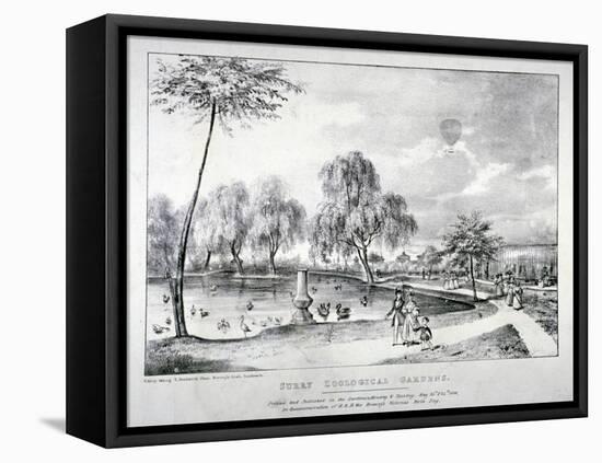 Surrey Zoological Gardens, Southwark, London, 1836-F Alvey-Framed Stretched Canvas