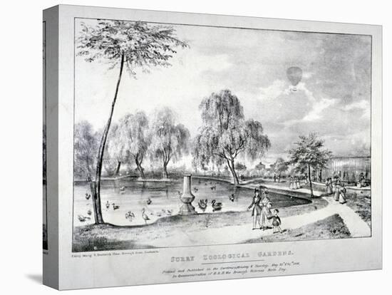 Surrey Zoological Gardens, Southwark, London, 1836-F Alvey-Stretched Canvas