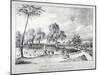 Surrey Zoological Gardens, Southwark, London, 1836-F Alvey-Mounted Giclee Print