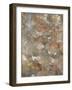 Surround I-Alexys Henry-Framed Giclee Print