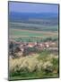 Surrounded by Mirabelle Plum Trees in Blossom, Sion Region, Lorraine, France-Bruno Barbier-Mounted Photographic Print