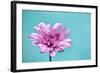 Surrounded in Blue-Gail Peck-Framed Photographic Print